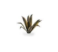 Gamers Grass Laser Plants Agave