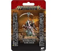 Games Workshop - Età Di Sigmar - Maggotkin Di Nurgle: Stregone Rotbringer