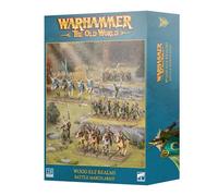 Wood Elf Realms: Battle March Army | Box 21