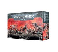 Chaos Space Marines | Accursed Cultists | Box 8