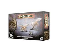Games Workshop - Warhammer - Necromunda: Nomadi Ashwing Helamiti