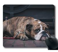Gaming mouse pad tappetino per mouse per mac e windows gamer Cane Canino Animale domestico Cucciolo carino per le donne/uomini / bambini venduti da Yanteng