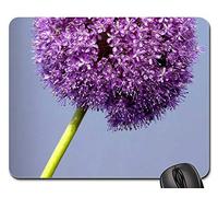Gaming Mousepad, Allium Purple Ball Flower Close Flower Bloom Tappetino per Mouse Confortevole Tappetini per Il Mouse da Gioco Personalizzato Mouse Pad per Casa Notebook 25X30Cm