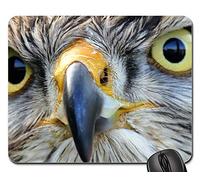 Gaming Mousepad, Bird of Prey Hawk Bird Prey Beak Wild Nature Tappetini per Il Mouse da Gioco Antipolvere Tappetino per Il Mouse da Gioco Ergonomico Tappetino Mouse Pad per Ufficio 25X30Cm