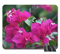 Gaming Mousepad, Bougainvillea Flowers Flower Nature Beauty Spring Tappetino per Il Mouse da Gioco Ergonomico Gaming Tappetino Mouse Pratica Tappetino per Mouse per Casa Laptop 25X30Cm