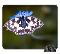 Gaming Mousepad, Butterfly Chess Board Women Board Edelfalter Mousepad Confortevole Tappetino da Gaming Ergonomico Tappetino Mouse per Computer Laptop 25X30Cm