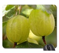 Gaming Mousepad, Gooseberries Fruit Soft Fruit Food Vitamins Tappetino per Mouse Bordi Cuciti Tappetino per Il Mouse da Gioco Antiscivolo Gaming Tappetino Mouse per Laptop Gaming 25X30Cm