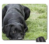 Gaming Mousepad, Labrador Retriever Puppy Dog Lab Black Canine Tampone per Mouse Ergonomico Tappetini per Il Mouse Bordi Cuciti Tappeto Mouse per Laptop Gaming 25X30Cm