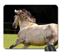 Gaming Mousepad, Mold Horse Love for Animals Funny Play Left Out7 Tappetino Mouse Pad Ergonomico Tappetini Mouse Antiscivolo Tappetino per Mouse per Gaming Notebook 25X30Cm