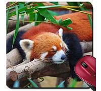 Gaming Mousepad, Red Panda Firefox Sleeping On The Tree Tappetino per Mouse Confortevole Tappetini Mouse Pratica Tappeto Mouse per Gaming Ufficio 25X30Cm