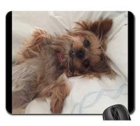 Gaming Mousepad, Yorkie Teacup Cute Small Dog Yorkshire Terrier Mouse Pad Ergonomico Tappetino Mouse Pad Personalizzato Tappetini Mouse per Notebook Laptop 25X30Cm