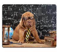 Gaming Pad, Cute Dog in Front of Blackboard During A Math Class Tappetino Mouse Multifunzionale Tappeto Mouse Ergonomico Tappetino per Il Mouse da Gioco per Mouse Pc 25X30Cm