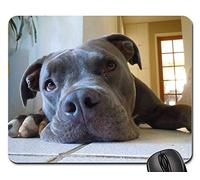 Gaming Pad, Cute Dog Thinking Lonely Smart Tired Tampone per Mouse Ergonomico Tappetino per Mouse Personalizzato Tappetino Mouse Gaming per Notebook Laptop 25X30Cm