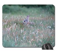 Gaming Pad, Nature Hare Grass Animal Meadow Walk Gaming Tappetino Mouse Liscia Gaming Mousepad Pratica Tappetino per Il Mouse da Gioco per Notebook Laptop 25X30Cm