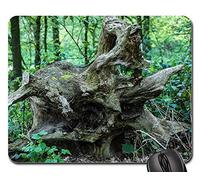 Gaming Pad, Root Tree Nature Log Tree Moss Energy Tappetino per Mouse Personalizzato Mouse Pad Liscia Gaming Tappetino Mouse per Notebook Laptop 25X30Cm