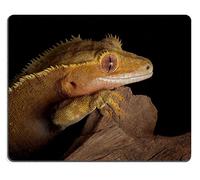 Gaming Tappetino Mouse, A Female Crested Gecko Stares Over A Jagged Cliff At Night Tappetino Per Il Mouse Da Gioco Antisfilacciamento Gaming Mousepad Multifunzionale Tappetino Per Mouse 25X30Cm