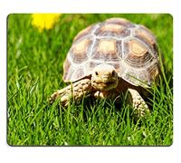 Gaming Tappetino Mouse, African Spurred Tortoise Geochelone Sulcata in The Garden Gaming Mousepad Antisfilacciamento Mousepad Multifunzionale Tappetini per Il Mouse da Gioco per Casa 25X30Cm