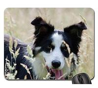 Gaming Tappetino Mouse, Border Collie High Grass Summer Warm Tricolour Dog Gaming Mousepad Antiscivolo Tappetini per Il Mouse Antipolvere Tappetino per Il Mouse da Gioco per Casa Gaming 25X30Cm