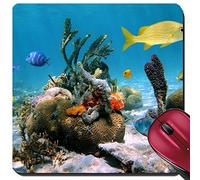 Gaming Tappetino Mouse, Corals Colorful Sea Sponges And Tropical Fish Tappetini Mouse Antiscivolo Tappetino Per Il Mouse Da Gioco Antisfilacciamento Tappeto Mouse Per Gaming Ufficio 25X30Cm