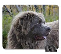 Gaming Tappetino Mouse, Dog Canine Gray Portrait Large Tappetini per Il Mouse da Gioco Bordi Cuciti Tappetini Mouse Ergonomico Gaming Mousepad per Laptop Ufficio 25X30Cm