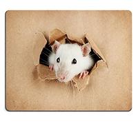 Gaming Tappetino Mouse, Funny Little Rat On Paper Background Tappetino Mouse Pad Personalizzato Tappetino da Gaming Antisfilacciamento Tappetini Mouse per Gaming Laptop 25X30Cm