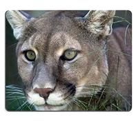 Gaming Tappetino Mouse, Mountain Lion Concolor Laying In The Grass Stalking Its Prey Tappetini Per Il Mouse Da Gioco Ergonomico Tappetino Mouse Lavabile Gaming Pad Per Pc Casa 25X30Cm