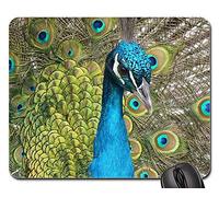 Gaming Tappetino Mouse, Peacock Bird Feather Close Color Iridescent Gaming Mousepad Antipolvere Tappetini per Il Mouse da Gioco Bordi Cuciti Tappetino Mouse Gaming per Laptop Casa 25X30Cm