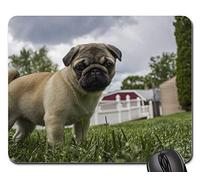 Gaming Tappetino Mouse, Pug Puppy Storm Animal Pet Dog Breed Happy Tappetini per Il Mouse da Gioco Bordi Cuciti Tampone per Mouse Antiscivolo Tappetino per Mouse per Casa Computer 25X30Cm