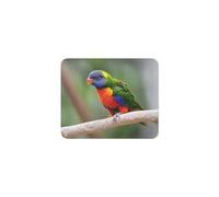 Gaming Tappetino Mouse, Rainbow Lorikeet Bird Tappetino Mouse Gaming Base In Gomma Gaming Mousepad Antisfilacciamento Gaming Pad Per Gaming Ufficio 25X30Cm
