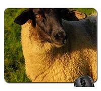 Gaming Tappetino Mouse, Sheep Dike Grass Late Autumn Wool Peaceful Tappetino per Il Mouse da Gioco Personalizzato Tappetino Mouse Gaming Bordi Cuciti Gaming Pad per Casa Ufficio 25X30Cm