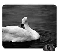 Gaming Tappetino Mouse, Swan Black White Photo Water Bird Cygnet White Bird Mousepad Antipolvere Tappetino da Gaming Ergonomico Tappetino Mouse Gaming per Computer Gaming 25X30Cm