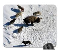 Gaming Tappetino Mouse, Wolf Wolves Bison Buffalo Surrounded Tappetino per Il Mouse da Gioco Bordi Cuciti Mousepad Pratica Gaming Mousepad per Computer Casa 25X30Cm