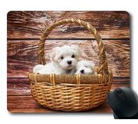 Gaming tappetino per il mouse pad per mac e windows gamer Cucciolo per maltese cane Sleep Sweet Animal prato per donne/uomini / bambini venduto da Yanteng