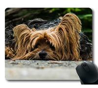 Gaming tappetino per mouse pad per mac e windows gamer Cane Yorkshire Terrier per cani pigro per donne/uomini / bambini venduto da Yanteng