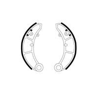 GANASCE CAMPAGNOLA 53> FRENO POSTERIORE ANTERIORE ANT/POST250X55