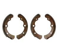 Ganascia freno 217 709 HART