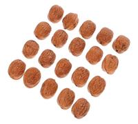 GANAZONO 20 conchiglie di noce realistiche per fai da te, in plastica, non facili da rompere, adatte per lunghe decorazioni per la casa e progetti creativi