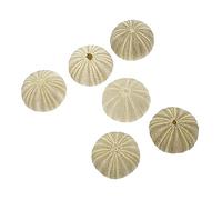 GANAZONO 6 pezzi diversi ricci di mare naturali per piante aeree, conchiglie ricci di mare artificiali, come decorazione mista, conchiglie di ricci di mare, pianta d'aria decorativa per la decorazione