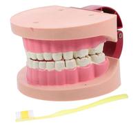 GANAZONO Modello Didattico per Strumento Interattivo per Esperimenti Scientifici e Lezioni di Anatomia Modello Standard per Scuola Elementare e Media