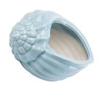 GANAZONO Vaso da Fiori in Ceramica a Forma di Conchiglia Azzurra, Vaso per Piante Elegante per Casa e Ufficio, Ornamentale e Creativo per Piante Succulente, Materiale Ecocompatibile
