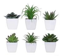 GANCEI Set di piante grasse artificiali in vaso, decorazione floreale realistica per casa e ufficio, da tavolo, senza manutenzione (C)