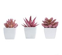 GANCEI Set di piante grasse artificiali in vaso, decorazione floreale realistica per casa e ufficio, da tavolo, senza manutenzione (E)