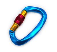 ganci con chiusura a scatto, Moschettone di sicurezza a forma D con chiusura a vite Escalade Equipement da 25 kN for alpinismo, speleologia e arrampicata su roccia(Blue)