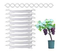 Ganci per piante di , Set di clip resistenti, Supporto per vite da giardino, di fissaggio per traliccio riutilizzabili, interattivo per la coltivazione di verdure, Clip per