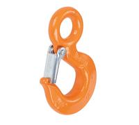 Gancio di sollevamento fisso Robur BETA 8052