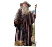 Gandalf Il Hobbit CUTOUT A MISURA D'UOMO Standee Standup Ian McKellen Mago