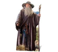 Gandalf The Hobbit Hobbit LIFESIZE Cutout in Cartone Standee Ian McKellen Wizard