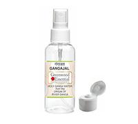 Gangajal Holy Ganga Water from the Beginning of River Ganga at Devprayag in Pet Bottle con Spray & Fliptop 200ml