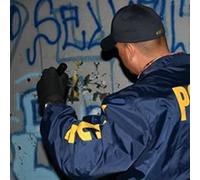 Gangland: Divide and Conquer