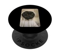 Gangsta Kitty Gangster Black Cat Meme Funny Cats Gang Humor PopSockets PopGrip Adesivo